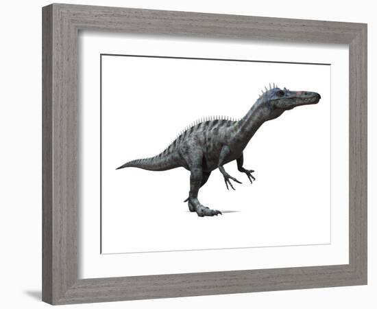 Suchomimus Dinosaur, Artwork-SCIEPRO-Framed Photographic Print