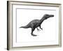 Suchomimus Dinosaur, Artwork-SCIEPRO-Framed Photographic Print