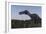 Suchomimus Dinosaur in a Prehistoric Environment-Stocktrek Images-Framed Art Print