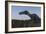 Suchomimus Dinosaur in a Prehistoric Environment-Stocktrek Images-Framed Art Print