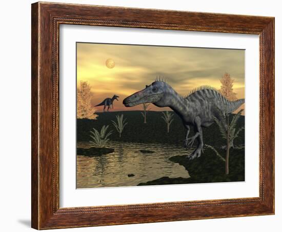 Suchomimus Dinosaurs Walking Next to Pond at Sunset-Stocktrek Images-Framed Art Print