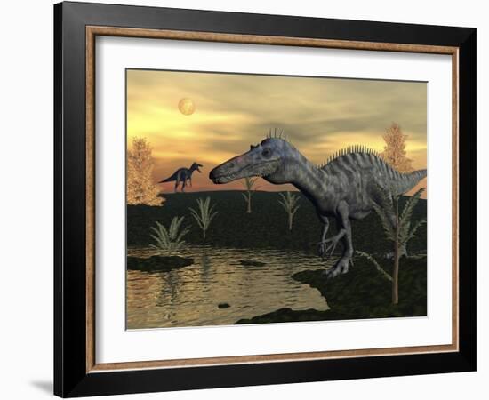 Suchomimus Dinosaurs Walking Next to Pond at Sunset-Stocktrek Images-Framed Art Print