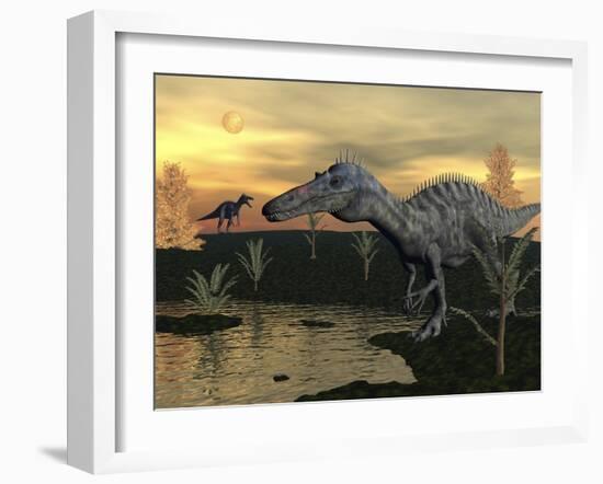 Suchomimus Dinosaurs Walking Next to Pond at Sunset-Stocktrek Images-Framed Art Print