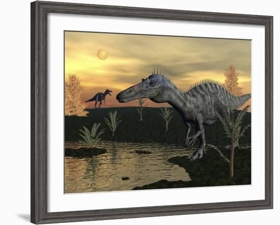 Suchomimus Dinosaurs Walking Next to Pond at Sunset-Stocktrek Images-Framed Art Print