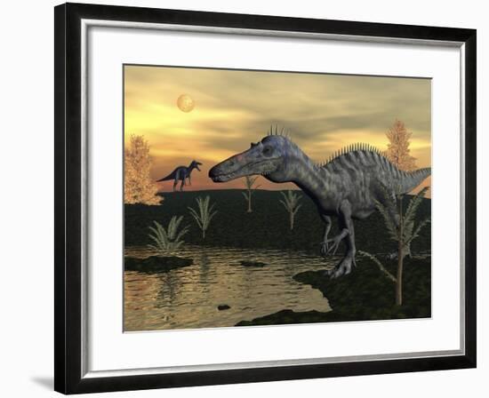 Suchomimus Dinosaurs Walking Next to Pond at Sunset-Stocktrek Images-Framed Art Print