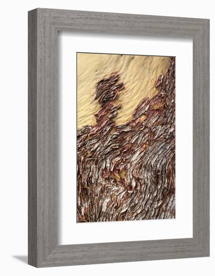 Sucia Island, British Columbia, Canada-Paul Souders-Framed Photographic Print