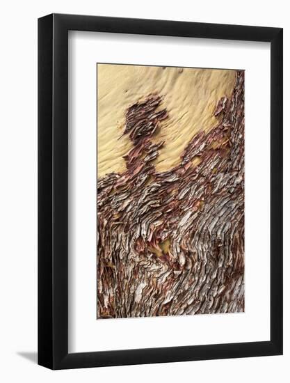 Sucia Island, British Columbia, Canada-Paul Souders-Framed Photographic Print