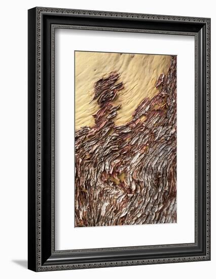 Sucia Island, British Columbia, Canada-Paul Souders-Framed Photographic Print