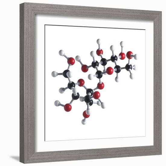 Sucrose Sugar Molecule-Science Photo Library-Framed Premium Photographic Print
