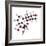 Sucrose Sugar Molecule-Science Photo Library-Framed Premium Photographic Print