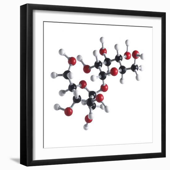 Sucrose Sugar Molecule-Science Photo Library-Framed Premium Photographic Print