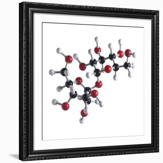 Sucrose Sugar Molecule-Science Photo Library-Framed Photographic Print