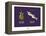 Sud-Mer-Sud-Terre - Olives et anchois (2)-Sylvain Bichicchi-Framed Stretched Canvas