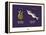 Sud-Mer-Sud-Terre - Olives et anchois (2)-Sylvain Bichicchi-Framed Stretched Canvas