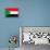 Sudan Flag Design with Wood Patterning - Flags of the World Series-Philippe Hugonnard-Framed Stretched Canvas displayed on a wall