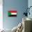 Sudan Flag Design with Wood Patterning - Flags of the World Series-Philippe Hugonnard-Framed Stretched Canvas displayed on a wall