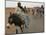 Sudanese Women Ride Donkeys at the Entrance of the Zamzam Refugee Camp-null-Mounted Photographic Print