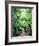 Sudbury Bridge and Trees-Christopher Ryland-Framed Giclee Print