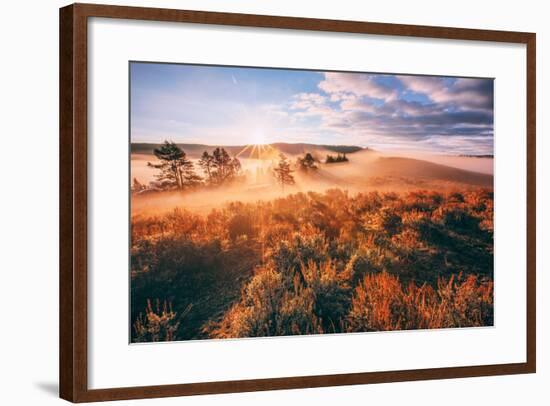 Sudden Fog and Light Beams, Morning at Yellowstone National Park-Vincent James-Framed Photographic Print