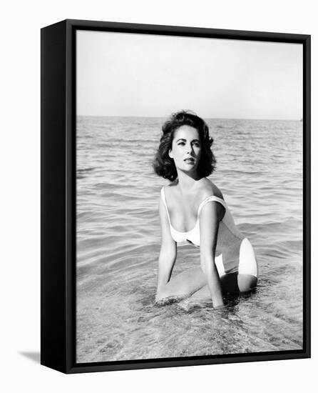 Suddenly, Last Summer-null-Framed Stretched Canvas