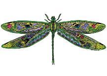 Dragonfly-Sue Coccia-Art Print
