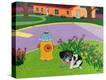 Stretched Canvas Print