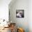 Sue Lyon-null-Framed Stretched Canvas displayed on a wall