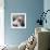 Sue Lyon-null-Framed Photo displayed on a wall