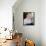 Sue Lyon-null-Framed Stretched Canvas displayed on a wall
