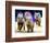 Sue Wee Pig Races-null-Framed Photographic Print