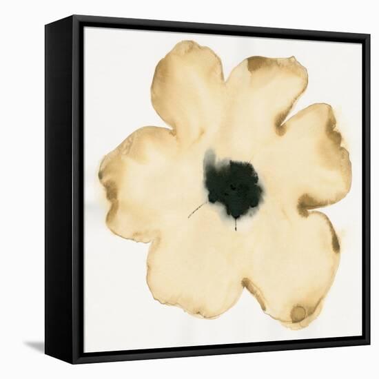 Suede Fleur II-Shirley Novak-Framed Stretched Canvas