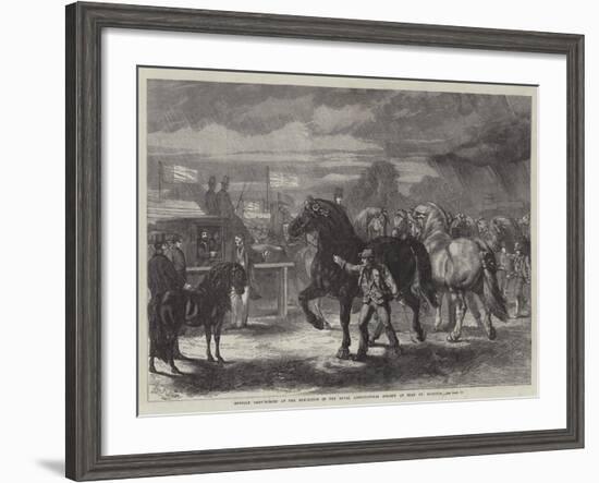 Suffolk Cart-Horses at the Exhibition of the Royal Agricultural Society at Bury St Edmunds-Samuel John Carter-Framed Giclee Print