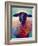 Suffolk Ewe 4-Marion Rose-Framed Giclee Print