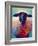 Suffolk Ewe 4-Marion Rose-Framed Giclee Print