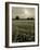 Suffolk Field-Tim Kahane-Framed Photographic Print