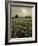 Suffolk Field-Tim Kahane-Framed Photographic Print