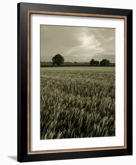 Suffolk Field-Tim Kahane-Framed Photographic Print