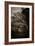 Suffolk Oak Trees-Tim Kahane-Framed Photographic Print