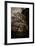 Suffolk Oak Trees-Tim Kahane-Framed Photographic Print