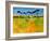 Suffolk Scots-Paul Bailey-Framed Art Print