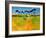 Suffolk Scots-Paul Bailey-Framed Art Print