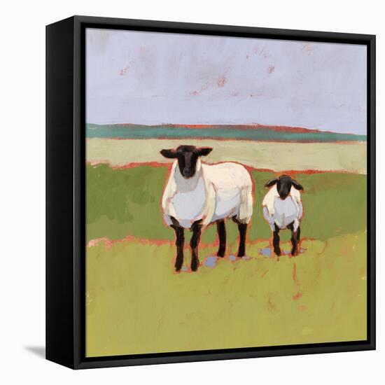 Suffolk Sheep I-Victoria Borges-Framed Stretched Canvas