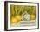 Sugar Bowl and Lemons, 1915-Pierre-Auguste Renoir-Framed Giclee Print