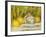 Sugar Bowl and Lemons, 1915-Pierre-Auguste Renoir-Framed Giclee Print
