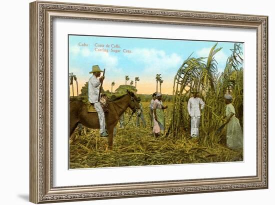 Sugar Cane Harvest, Cuba-null-Framed Art Print