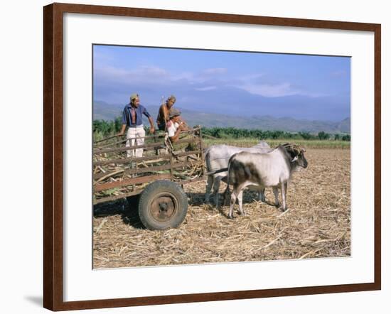 Sugar Cane Harvest, San Luis Valley, Sancti Spiritus Province, Cuba, West Indies, Central America-Bruno Morandi-Framed Photographic Print