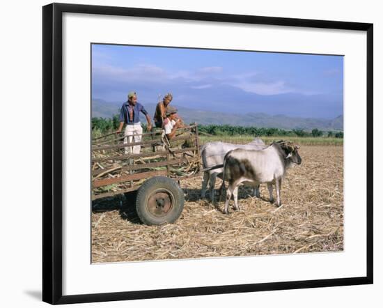 Sugar Cane Harvest, San Luis Valley, Sancti Spiritus Province, Cuba, West Indies, Central America-Bruno Morandi-Framed Photographic Print
