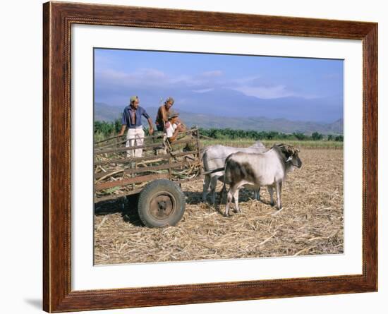 Sugar Cane Harvest, San Luis Valley, Sancti Spiritus Province, Cuba, West Indies, Central America-Bruno Morandi-Framed Photographic Print