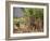 Sugar Cane Harvest-Bjorn Svensson-Framed Photographic Print