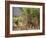 Sugar Cane Harvest-Bjorn Svensson-Framed Photographic Print